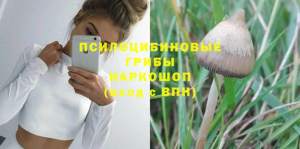 шишки Верхнеуральск