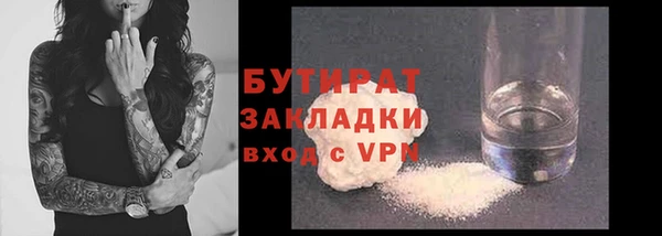 шишки Слюдянка