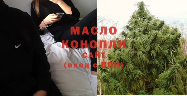 гидра Верхний Тагил
