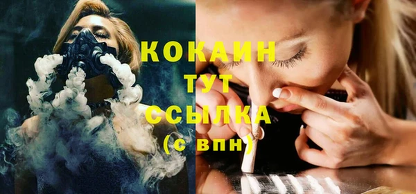 гидра Верхний Тагил