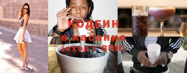 гидра Верхний Тагил