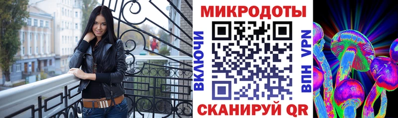 где найти   Городовиковск  Псилоцибиновые грибы Psilocybine cubensis 